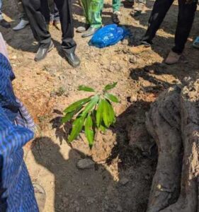 Foto: Bernhard Seidenath