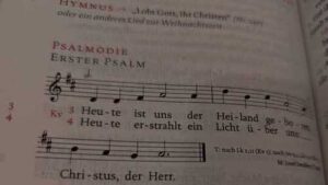 Foto: Bernhard Seidenath